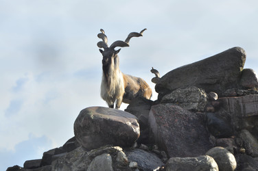 Similar image 21896219