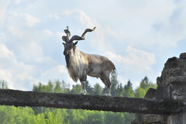 Similar image 21896220