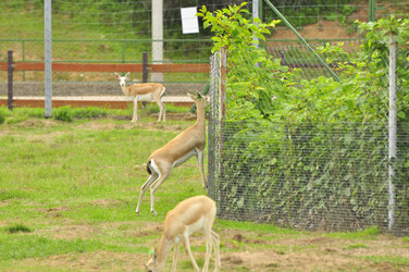 Similar image 21896221