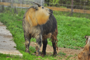 Similar image 21896222