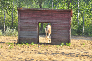 Similar image 21896225