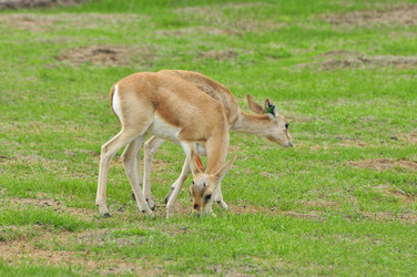 Similar image 21896226