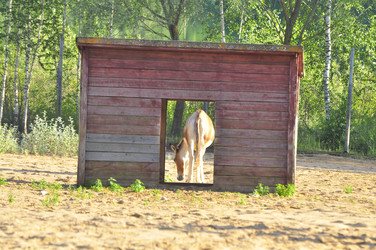 Similar image 21896227