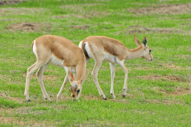 Similar image 21896228