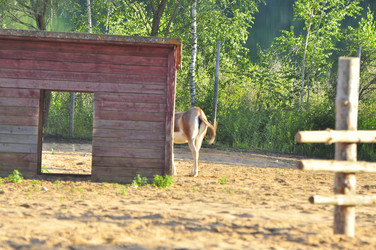 Similar image 21896229