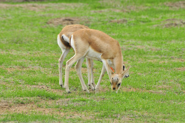 Similar image 21896230