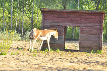 Similar image 21896231