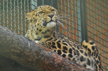 Similar image 21896297