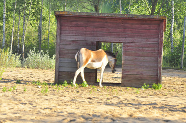 Similar image 21896298