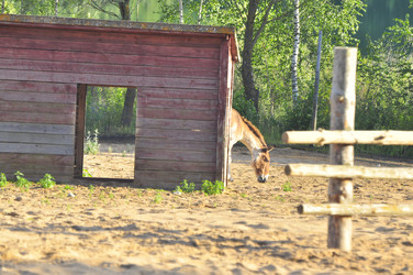 Similar image 21896299