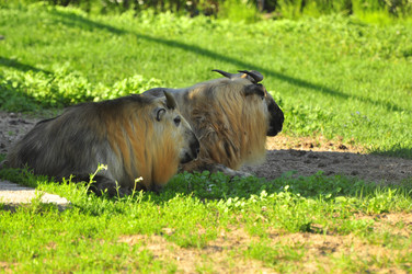 Similar image 21896300