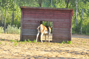 Similar image 21896301