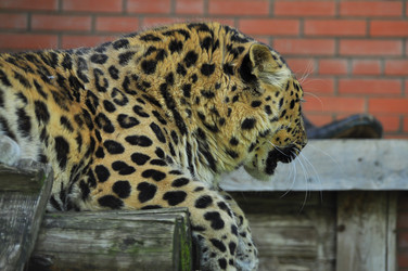 Similar image 21896302