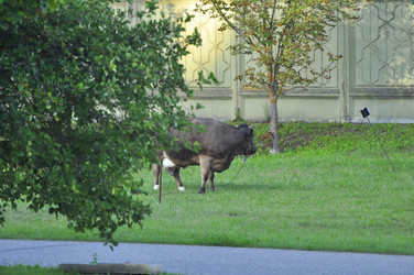 Similar image 21896304