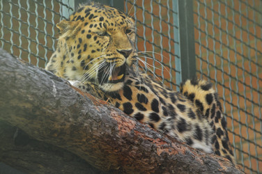 Similar image 21896307