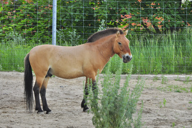 Similar image 21896310