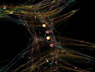 Similar image 21906342