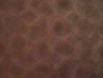 Similar image 21906553