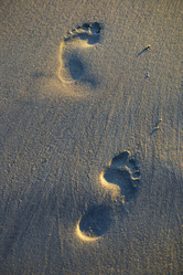 Similar image 21895874