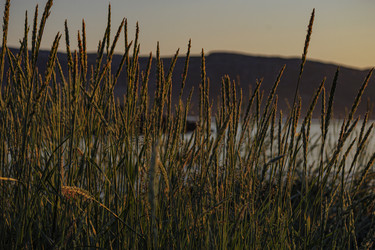 Similar image 21904842