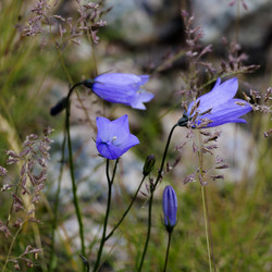 Similar image 21906821