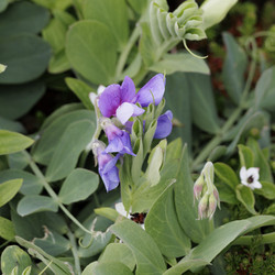 Similar image 21906822