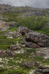 Similar image 21895881