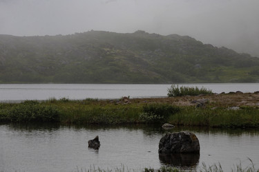 Similar image 21895882