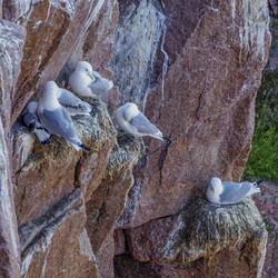 Similar image 21895892