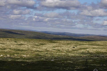 Similar image 21896040