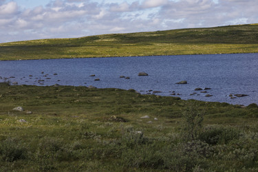 Similar image 21895907