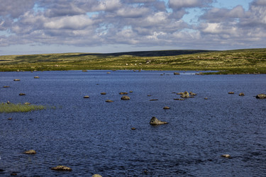 Similar image 21895910