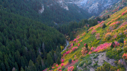 Similar image 21900066