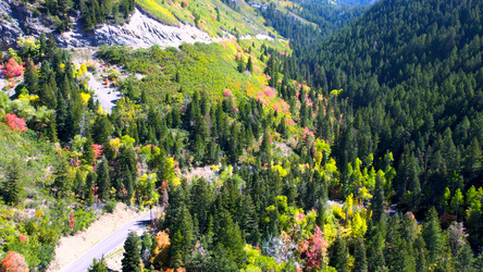 Similar image 21900068