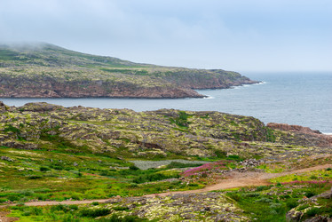 Similar image 21903657