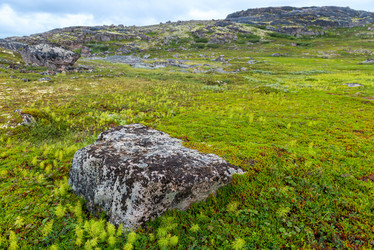 Similar image 21903810