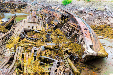 Similar image 21903819