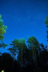 Similar image 21903385