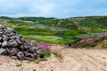 Similar image 21903550