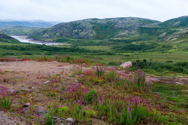 Similar image 21903555