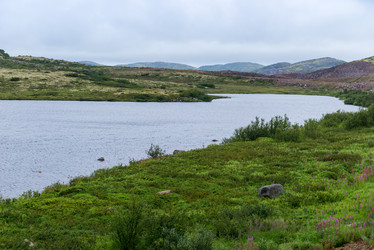 Similar image 21903608