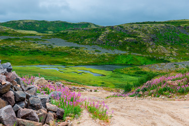 Similar image 21903672