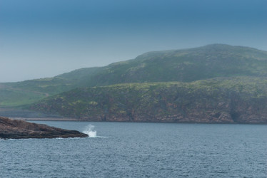 Similar image 21903683