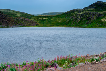 Similar image 21903841