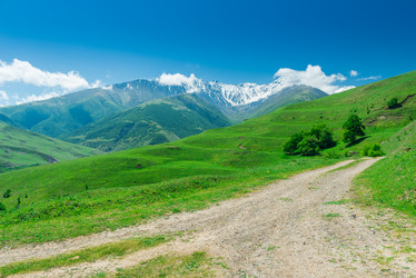 Similar image 21903402