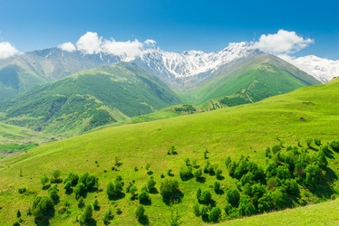 Similar image 21903419