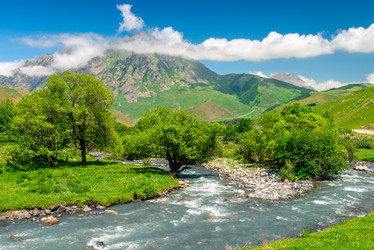 Similar image 21903699