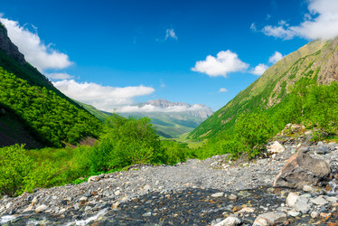 Similar image 21903704