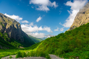 Similar image 21903710