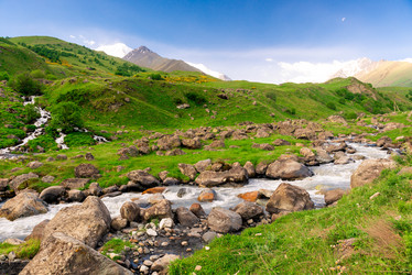 Similar image 21903869